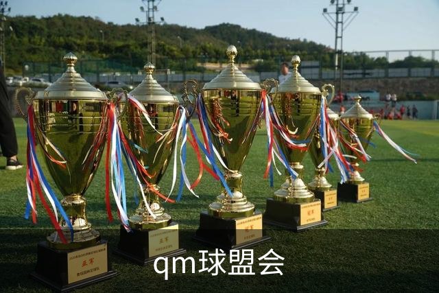 qm球盟会公司简介图片